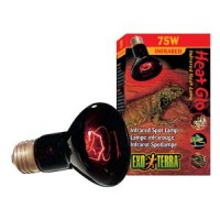 파충류 적외선 램프 75W