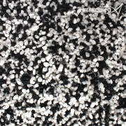 흑·백자갈 (3~5mm)