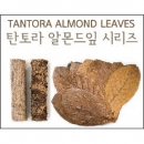 탄토라 나노 알몬드 잎(nano catappa leap) - 자연수로 바꾸어주는 신비의 피트머스