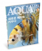 월간지책 아쿠아라이프 2018년 6월호