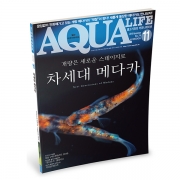 월간지책 아쿠아라이프 2019년 11월호