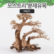 모스트리 분재유목(M) M601